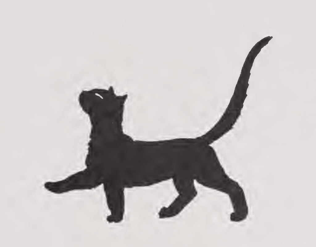 Press Release: Cat Declines to Comment